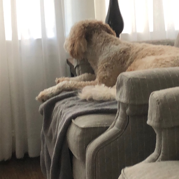 Meet your Posher, Tene - Picture 1 of 1